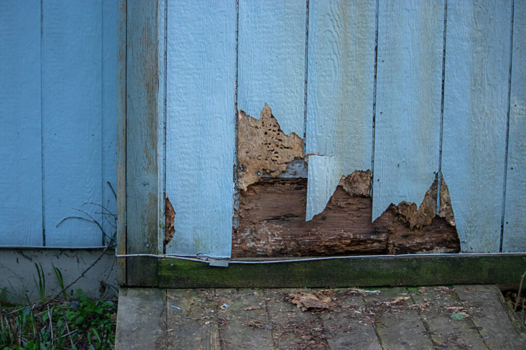 Maintenance Tips for Extending the Life of Your Windows and Siding
